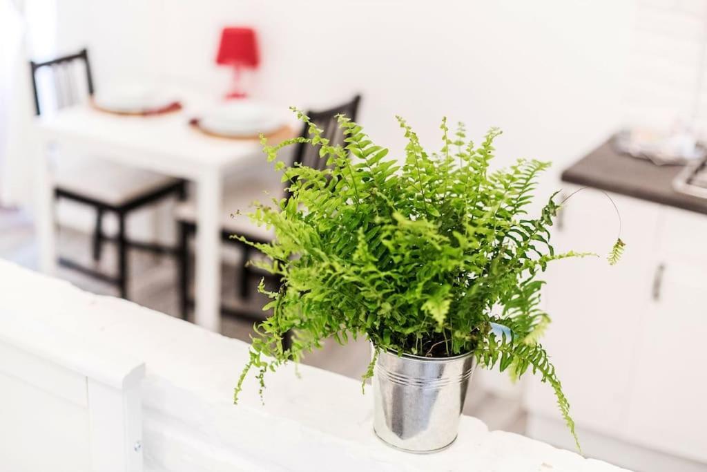 Away From -city Center Apartamento